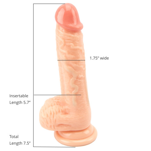 Loving Joy Realistic Dildo with Balls and Suction Cup 7.5 Inch - Image 5